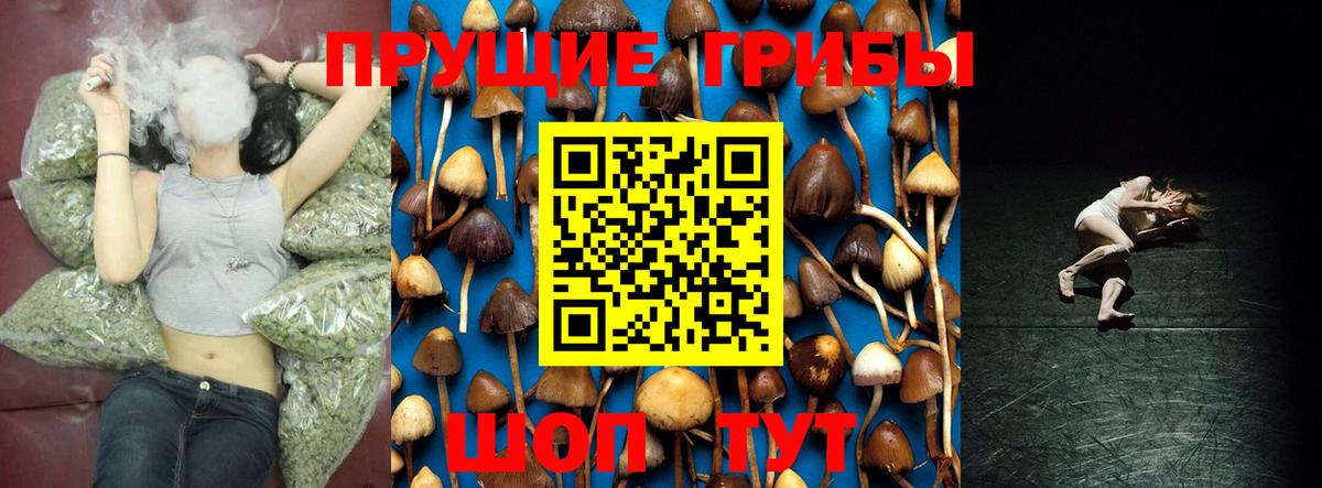 Псилоцибиновые грибы Magic Shrooms  Галлюциногенные грибы Psilocybine cubensis  Вход с VPN  Прохладный 