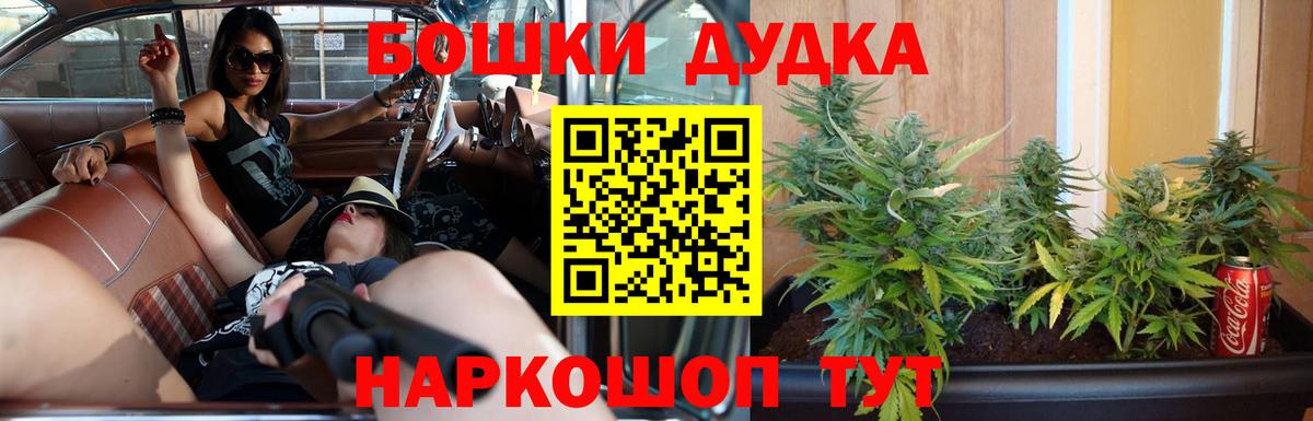 Галлюциногенные грибы Прохладный
